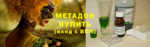 шишки Аркадак