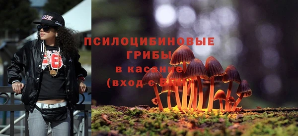 мяу мяу кристалл Переславль-Залесский