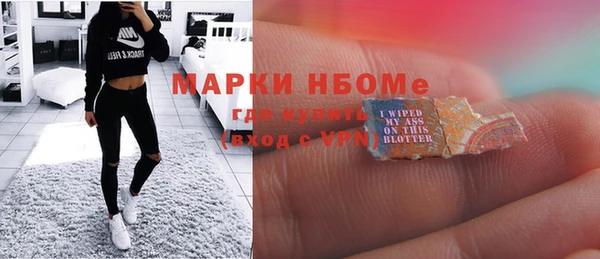 шишки Аркадак