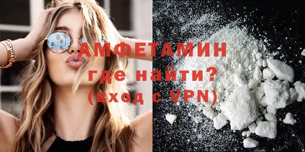 шишки Аркадак